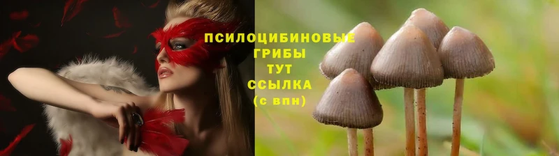 Псилоцибиновые грибы MAGIC MUSHROOMS  omg   Нюрба 